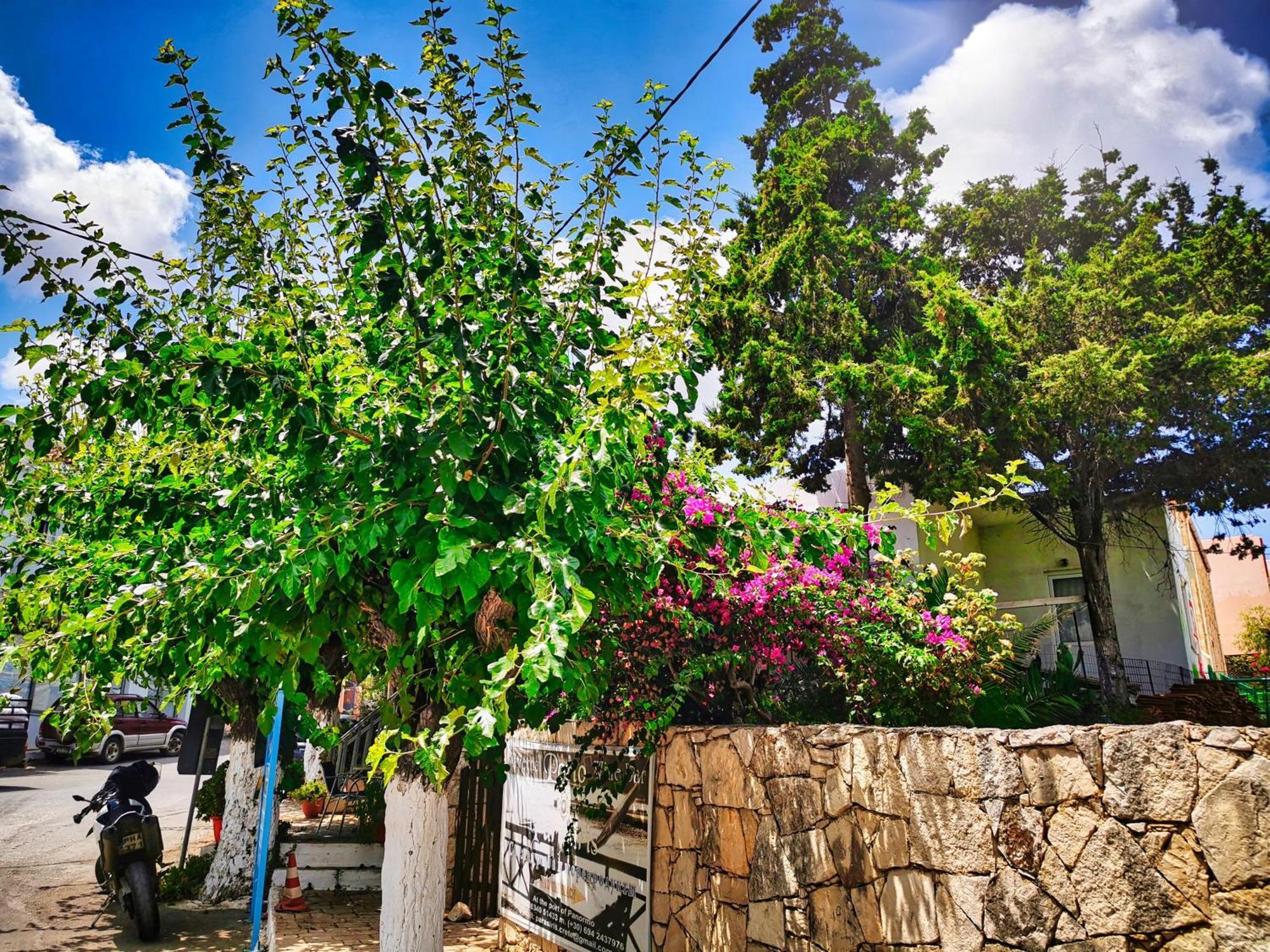Ble Residence, Your Home Away From Home Πάνορμος Εξωτερικό φωτογραφία