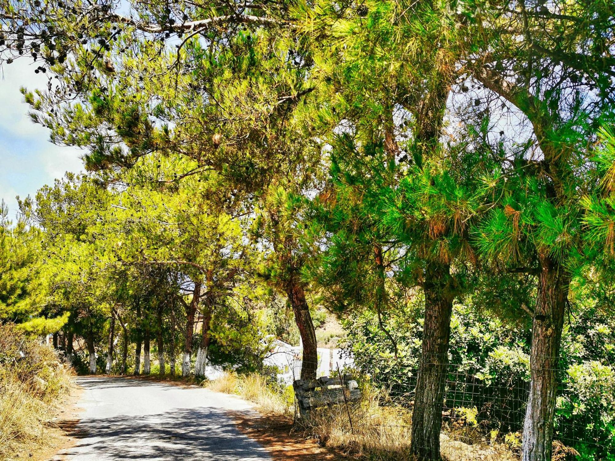 Ble Residence, Your Home Away From Home Πάνορμος Εξωτερικό φωτογραφία